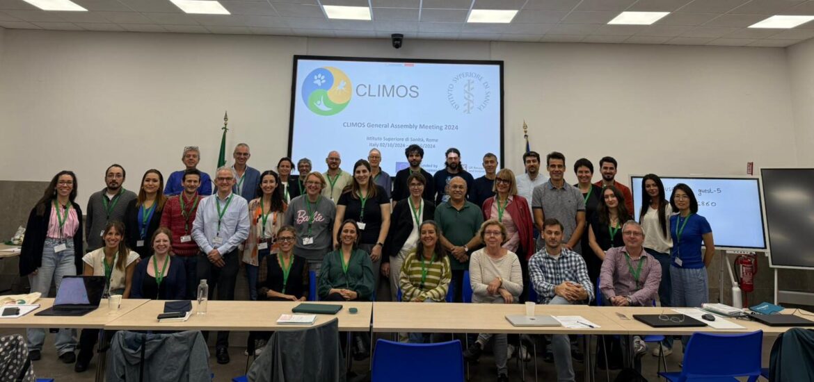 8288cc37-4264-4299-bf0a-5342a3c2d410