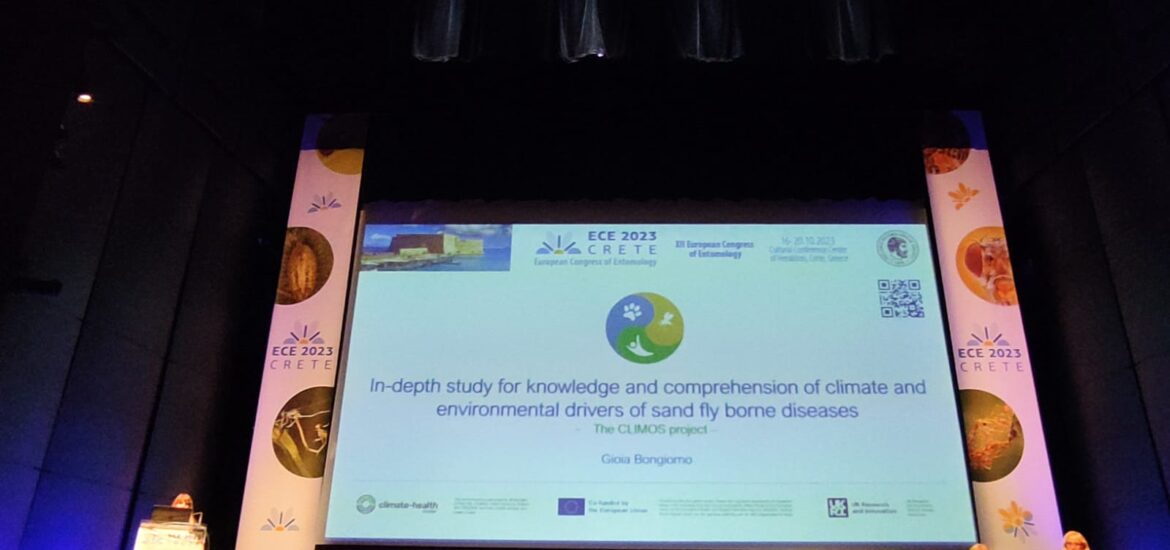 a16cdb19-61a8-4cf0-a847-1d3f9f880bed